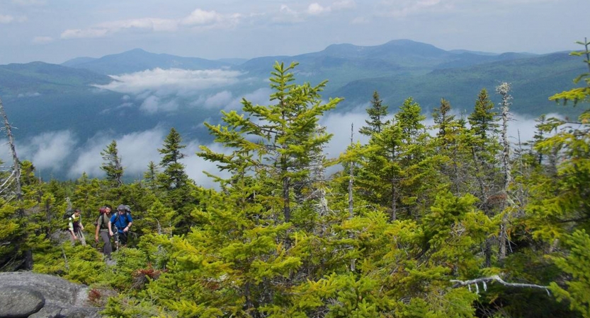 A group of people move through green trees high above a mountain landscape below